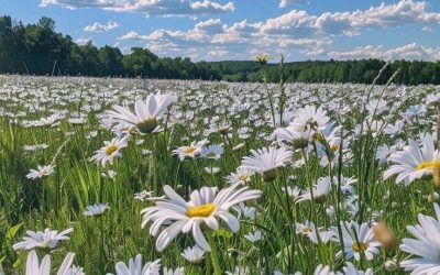 STANCHEZZA PRIMAVERILE? 3 SOLUZIONI PER RISVEGLIARE LA TUA ENERGIA
