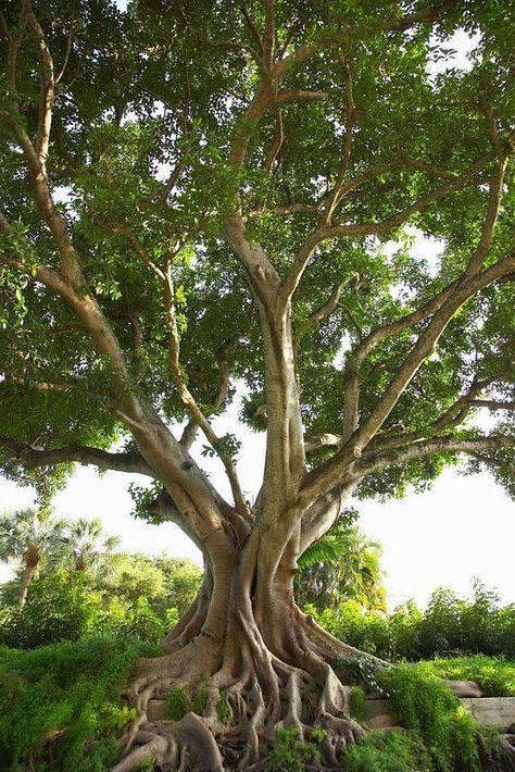 Vaishakh Purnima